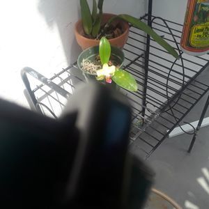 Meet your Posher, Teodoro